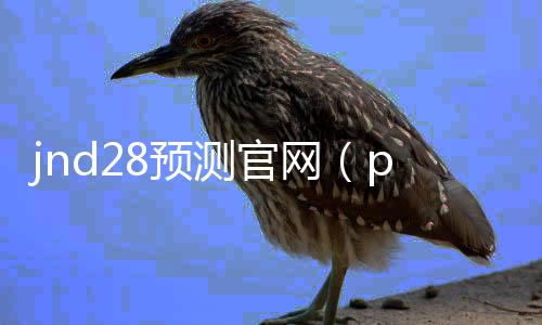 jnd28预测官网(pc28预测攻略)